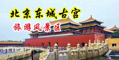 想看你的逼逼中国北京-东城古宫旅游风景区